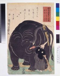 新渡舶来之大象 / Portrayal of a Giant Elephant from Overseas image
