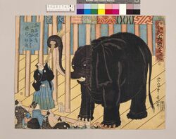 中天竺新渡舶来大象之図 image