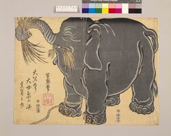 天竺下り大女象の図 / Portrayal of a Giant Female Elephant from India image