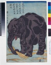 文久三亥年天竺国舶来大象之写真於東都両国観物 / Public Viewing of a Giant Indian Elephant at Ryogoku in Bunkyu 3 image