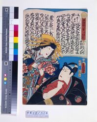 浄瑠璃八景 河東 江戸桜(廓中の花雨) / Eight Views of Joruri: The Kato Narrative Song Edozakura image