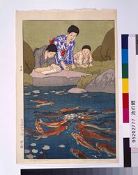 池の鯉 image