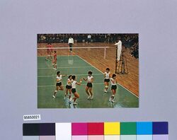 64オリンピック東京大会 速報5 絵葉書セット / 64 Tokyo Olympics, Newsletter 5, Picture Postcard Set image
