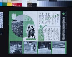 沿線案内(春 丹沢ハイキング) image