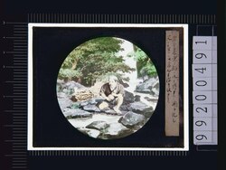 幻灯種板　養老の滝 image