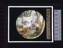幻灯種板　楠木正成 image