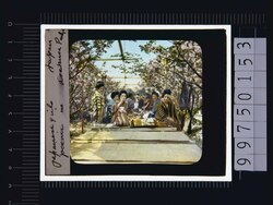 東京 浅草花見(幻燈原板) image