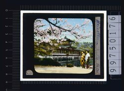 京都 平安神宮神苑(幻燈原板) image