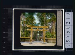 神社の鳥居(幻燈原板) image