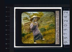 茶畑の女性(幻燈原板) image