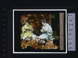 芸者(幻燈原板) image