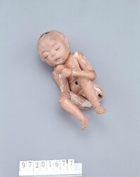 胎児人形 image
