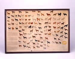 犬の系統図 / Dog Breeds Chart image