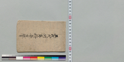 王氏大河外科奇方抜書 / Other Documents image