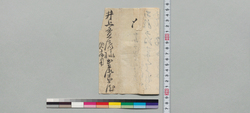 井上貫流宛書状(酒井大学頭殿女中病用御願) / Other Documents image