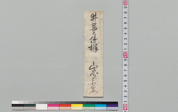 井上貫流宛書状(熊膽の値段につき) / Other Documents image