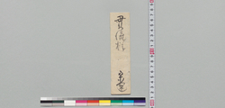 井上貫流宛書状(熊膽の値段申述につき) / Other Documents image