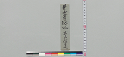 井上貫流宛書状(御三男松前表御備場組として新規御抱入を評議中) / Document of Samurai Class image
