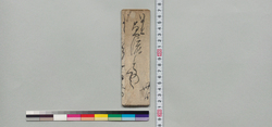 井上貞流宛書状(帰府などの事につき) / Document of Samurai Class image