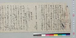 願書下書(病気につき勘定所御普請役見習御免願) / Document of Samurai Class image