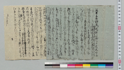 願書下書(大筒役下役組頭明きの節明跡抱入願) / Document of Samurai Class image