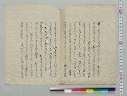 達書写(公武合体の儀につき) / Document of Samurai Class image