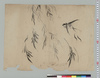 柳に燕図/Swallows on Willow image