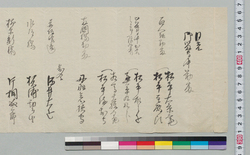 日光御留守中勤番書付 / Document of Samurai Class image