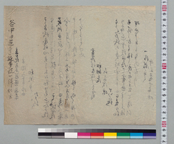[谷中延命院日道密通一件] / Document of Samurai Class image