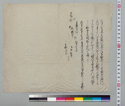 [鳥井彦左衛門事書 断片] / Document of Samurai Class image