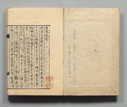 丙戌紀聞 / Hand-copied Book of Politics image