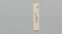 井上貫流宛書状(平山行蔵一件及び刀剣返却につき) / Document of Samurai Class image