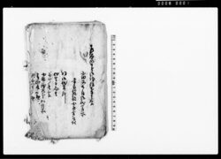 乍恐以書付御訴訟奉申上候(用水水番之致方不宜につき常州河内郡大徳村名主仙右衛門他6名相手取訴訟) / Document of Litigation image