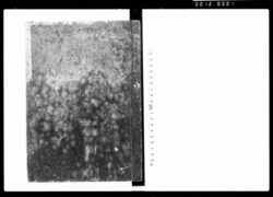 御條目管窺 / Gojōmoku Kanki (Hand-copied Book of Laws) image