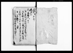 内日記（京都壬生の殿様に仕える人物の参詣・見舞・出仕・出迎など内向きの日記） / Diary image