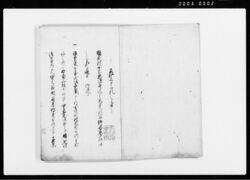 上州国定村一件御裁許証文写(国定村無宿忠次郎博奕につき再応吟味) / Document of Contract image