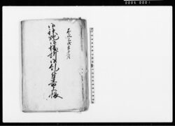御鉄砲御場所御糺ニ付書上帳(嘉永3年11月~12月御鉄砲場所松林伐採につき) / Document of System image
