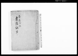 棠蔭録事 image