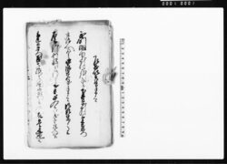 書付綴（武州下井草村願書写） / Document of Rural Area image