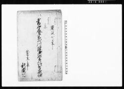 当卯春定式川除御普請出来形帳(越前国今立郡新堂村普請につき人足・材料など諸入用書上) / Document of Politics image