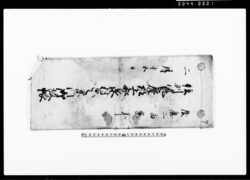 信州筑摩郡上和泉村寅之宗門改帳 / Document of Rural Area image