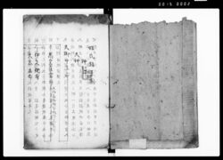 姓氏録系圖 / Document of Laws image