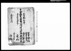 下野那賀郡皆川領沖嶋村御検地帳 / Document of Rural Area image
