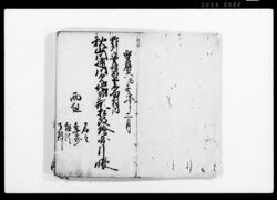 野州安蘇郡下多田村内秋山川通川欠地所形相改絵図引帳 / Document of Rural Area image