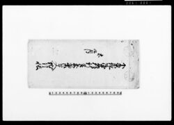 下条組綱木村新開敷当御竿入地引帳 / Document of Rural Area image