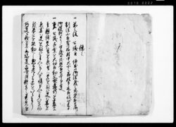 御仕置五人組帳 / Document of Laws image