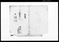 武蔵国埼玉郡常陸国鹿嶋郡之内知行所人数帳 / Document of Laws image