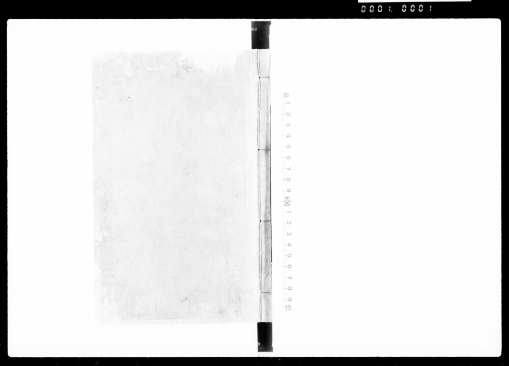 90374987-1_1001