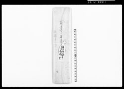 (大聖歓喜天花水供講募縁序) / Document of Culture image