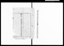 神奈川県陸奥宗光田租改正建議 / Document of Laws image